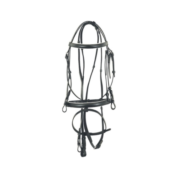 English Leather Horse Bridle | Padded Raised Cavesson Noseband & Browband