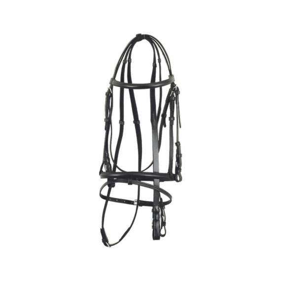 English Leather Horse Bridle | Padded Raised Cavesson Noseband & Browband