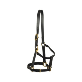 Leather Halter