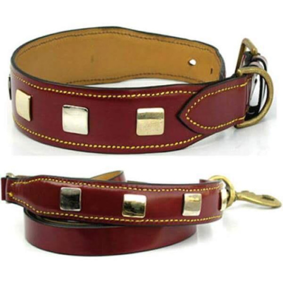 Leather Collar with Leash