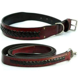 Leather Collar with Leash