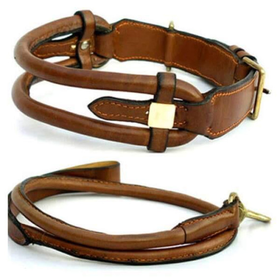 Leather Collar with Leash