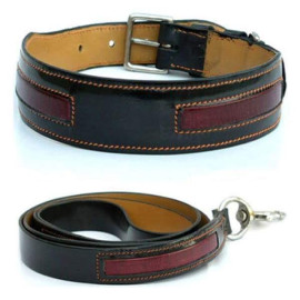 Leather Collar with Leash
