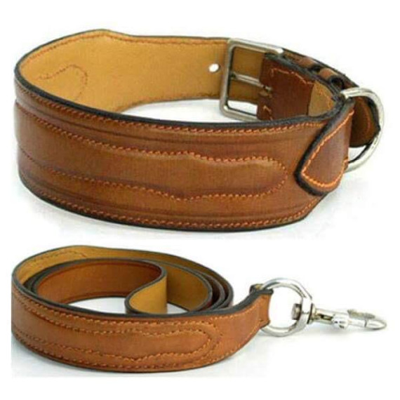 Leather Collar with Leash