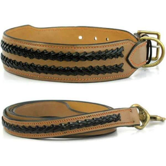 Leather Collar with Leash