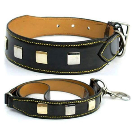 Leather Collar with Leash