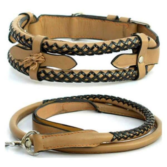 Leather Collar with Leash
